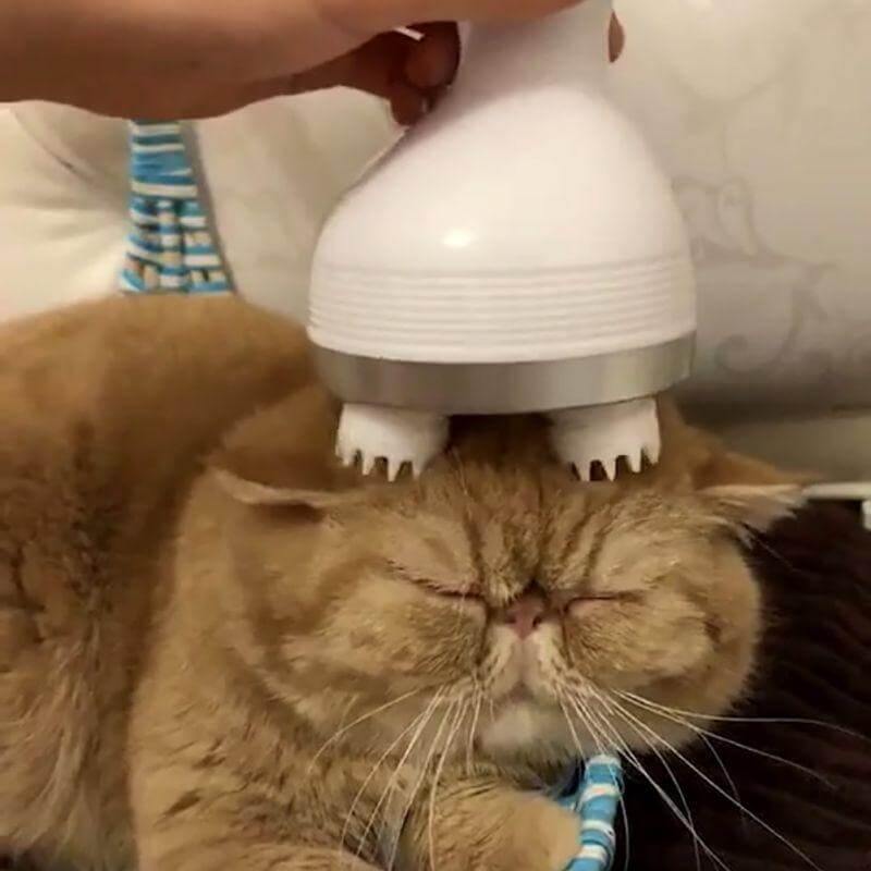 3D Waterproof Pet Massager Petter - MaviGadget