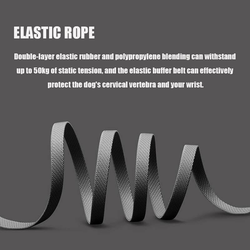 Retractable LED Leash Ring Collar - MaviGadget