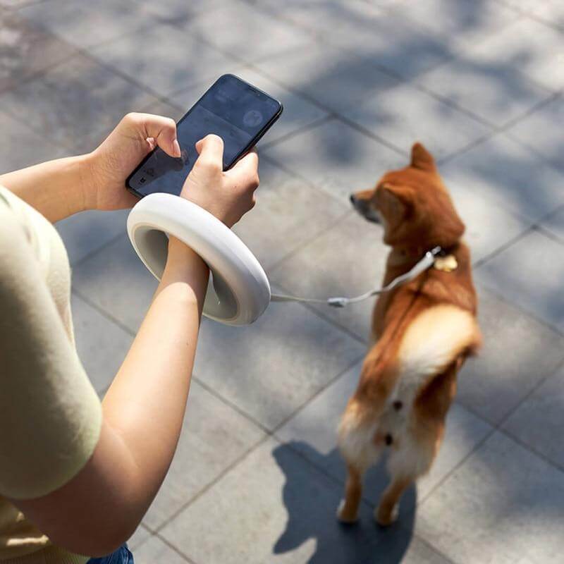 Retractable LED Leash Ring Collar - MaviGadget
