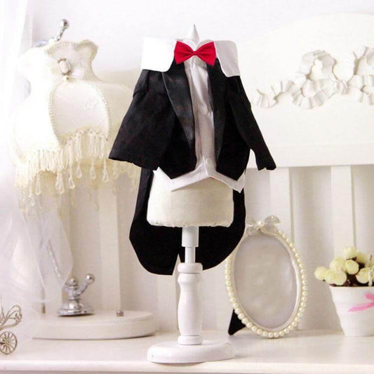 Pet Suit Costume - MaviGadget
