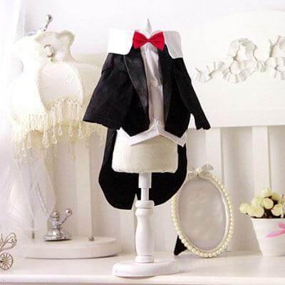 Pet Suit Costume - MaviGadget