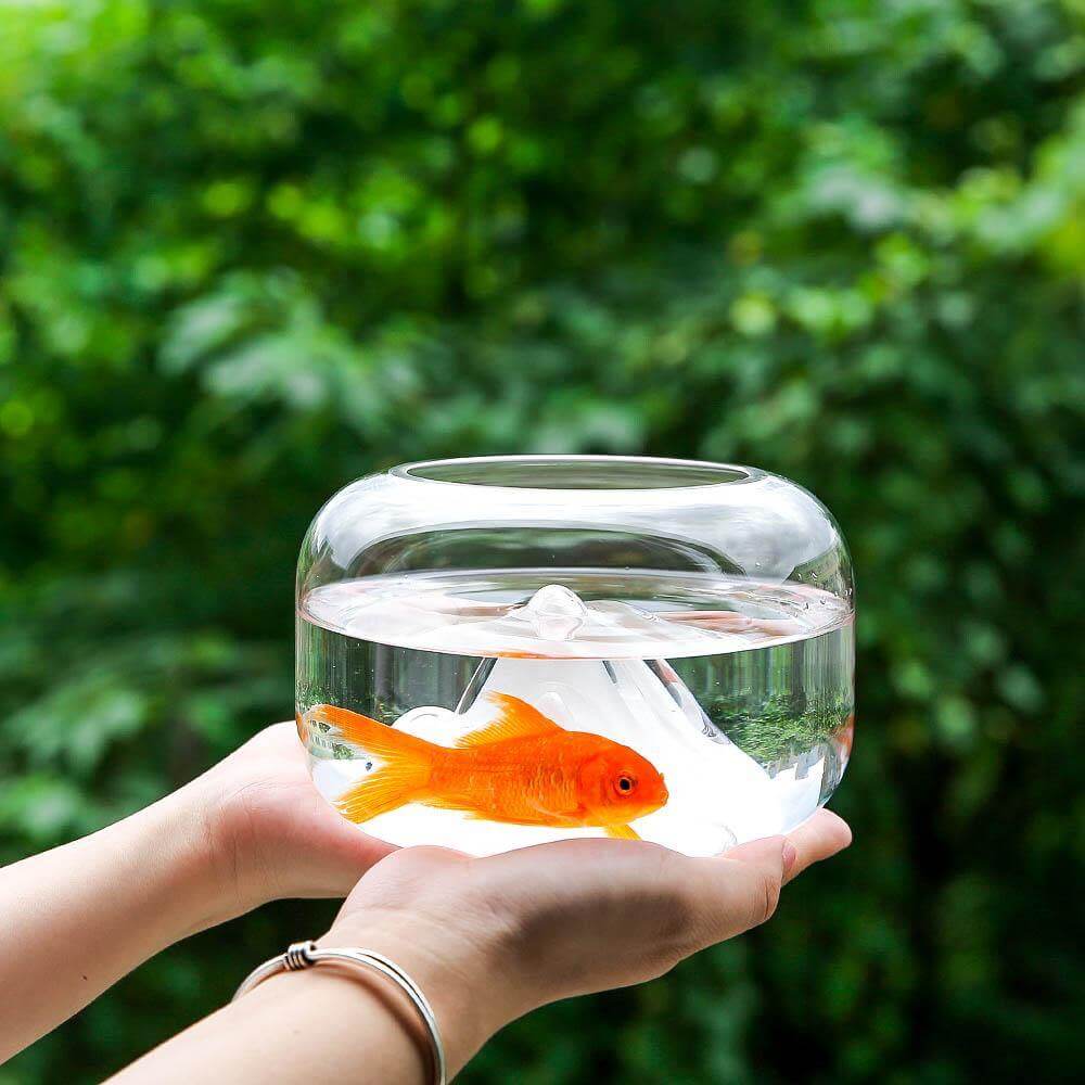 Creative Transparent Snow Mountain Fish Aquariums - MaviGadget