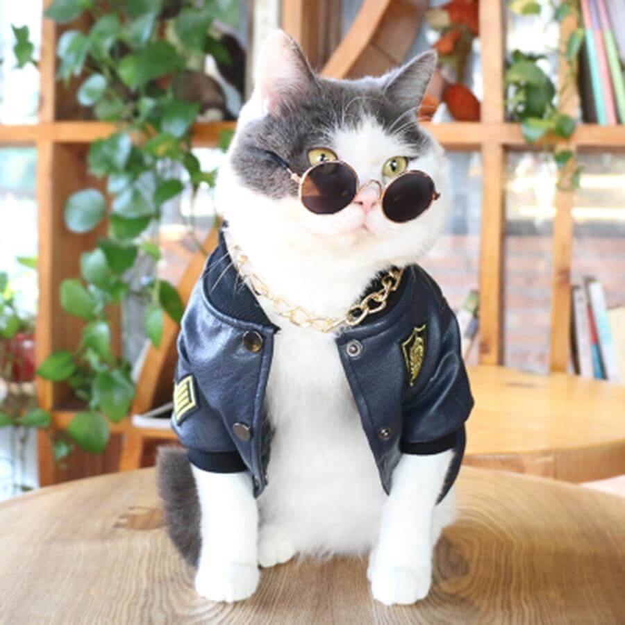 Leather Pet Jacket - MaviGadget