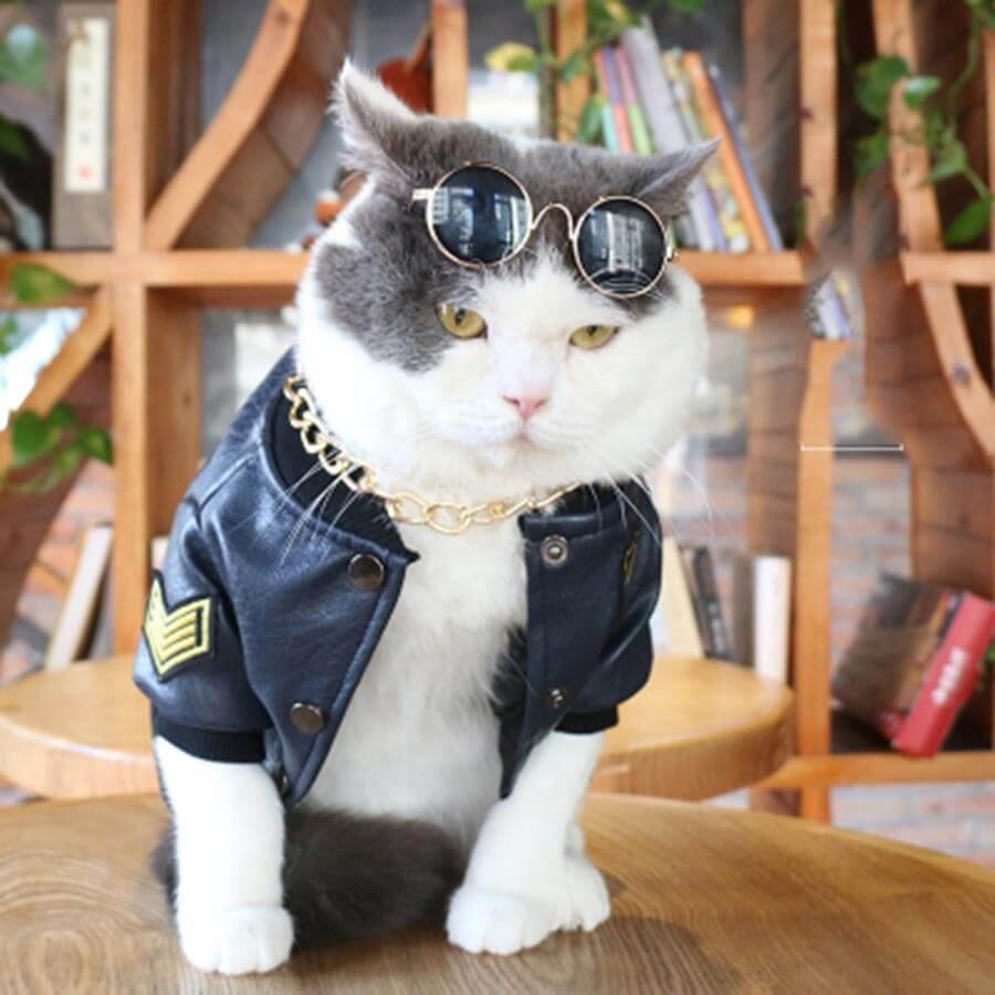 Leather Pet Jacket - MaviGadget