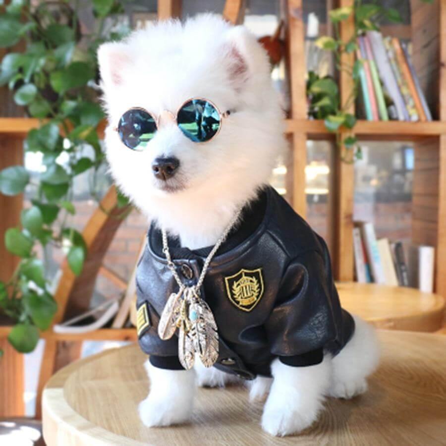 Leather Pet Jacket - MaviGadget