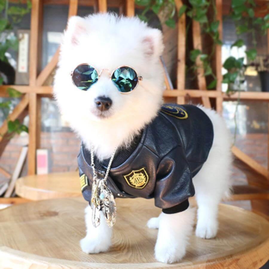 Leather Pet Jacket - MaviGadget