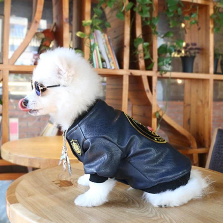 Leather Pet Jacket - MaviGadget