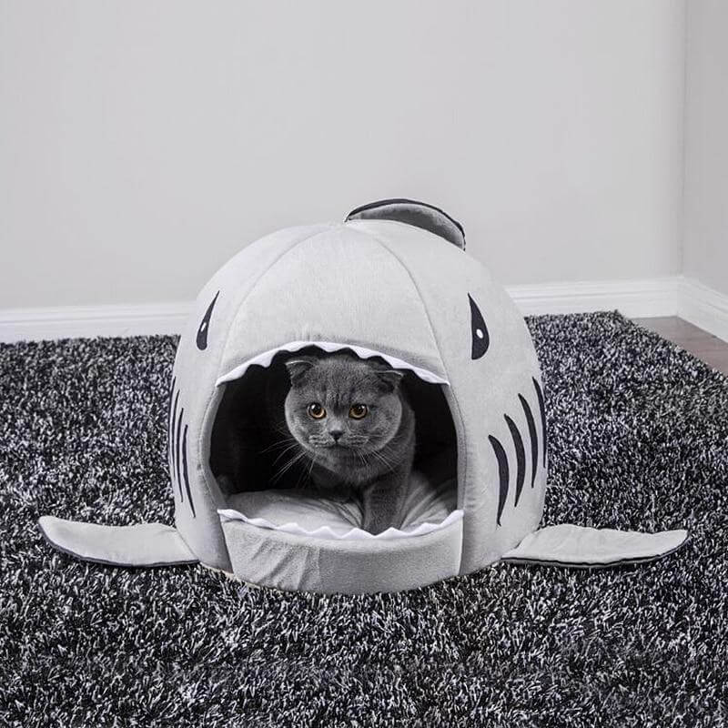 Pet Shark House - MaviGadget