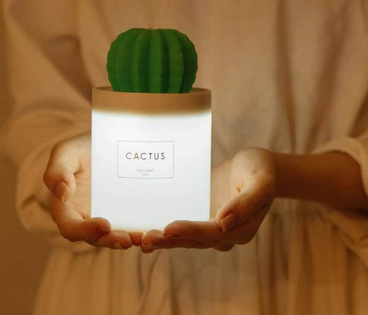 Cactus Ultrasonic Aromatherapy Humidifier - MaviGadget