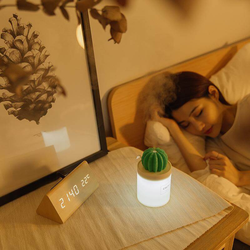 Cactus Ultrasonic Aromatherapy Humidifier - MaviGadget